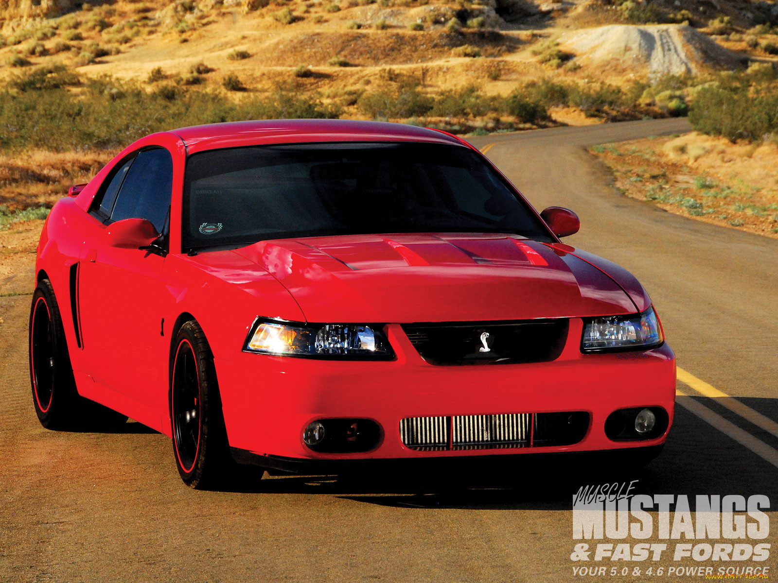 1999, ford, mustang, gt, cobra, replica, 